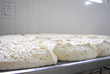 Produção de queijo mussarela